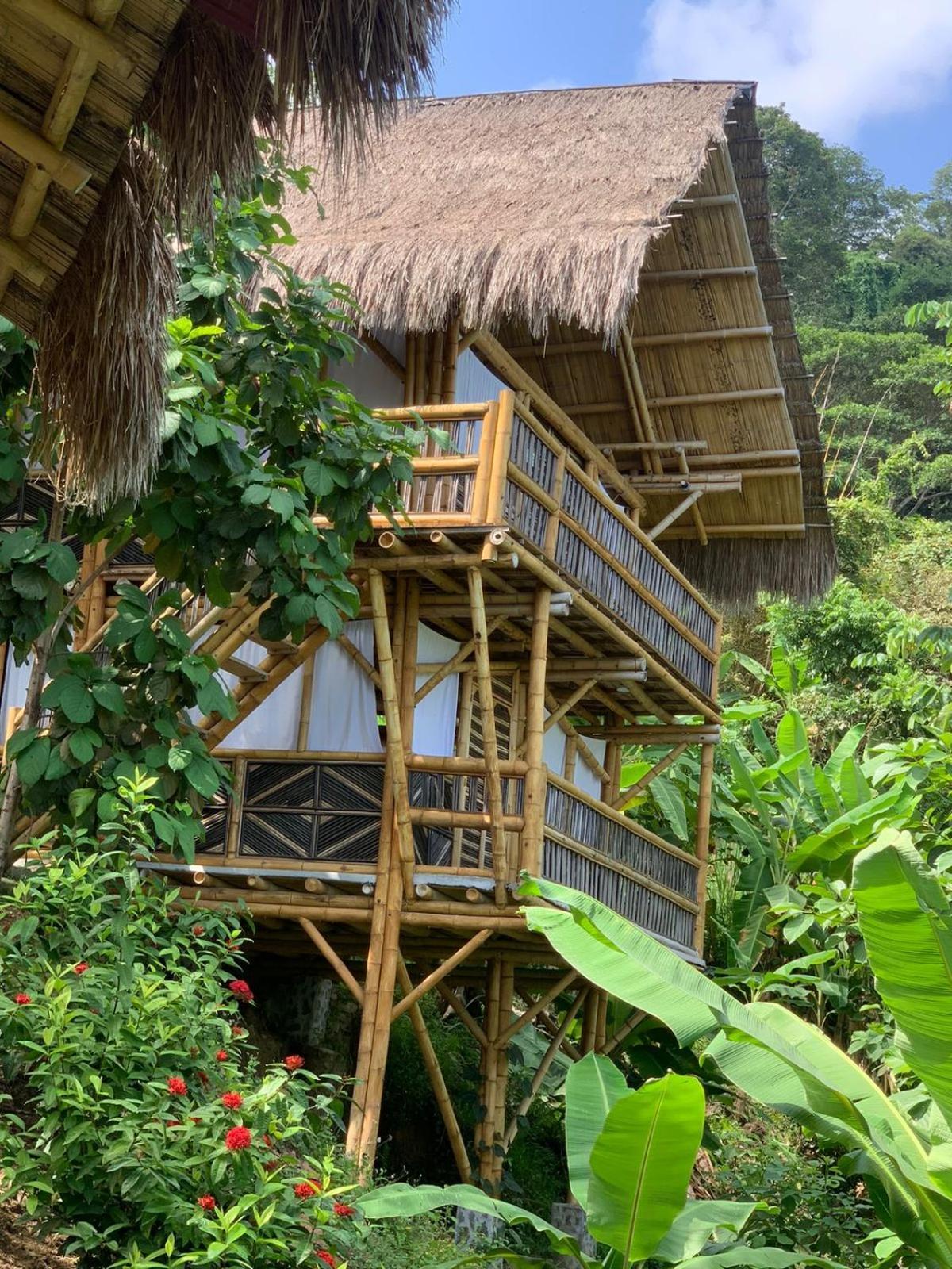 Niuwi Hostel Buritaca Ngoại thất bức ảnh