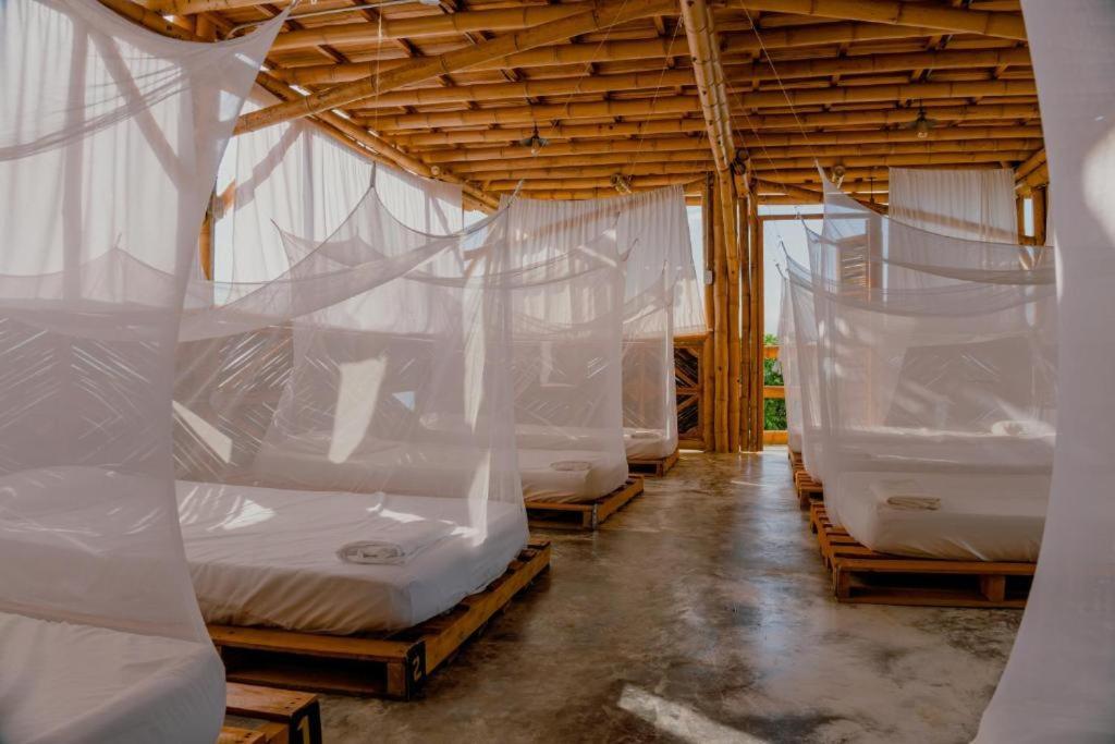 Niuwi Hostel Buritaca Ngoại thất bức ảnh